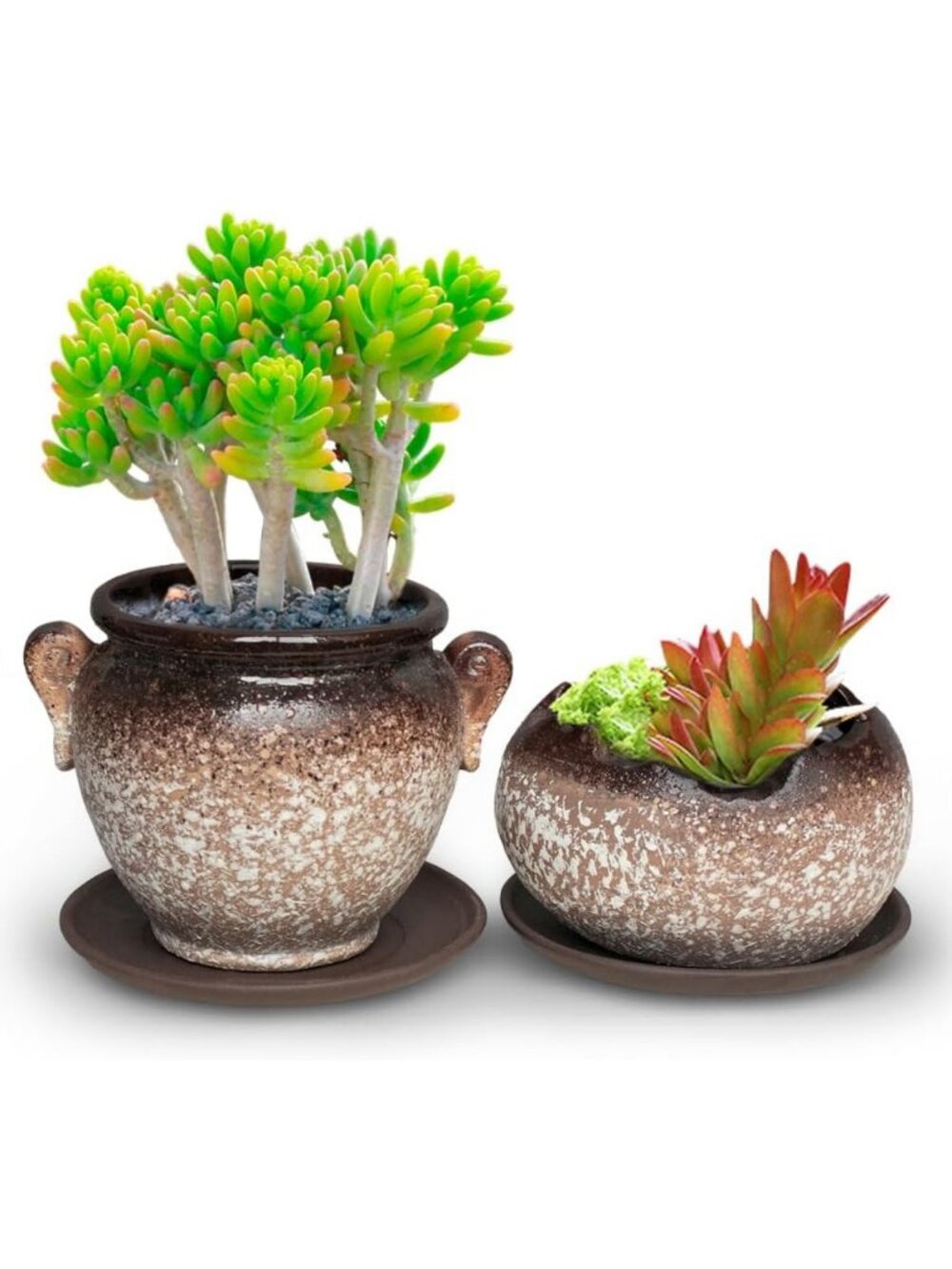 Vintage Speckled Ceramic Succulent Planter Set of 2 | Flower & Bonsai Pots